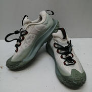 MOUNTAIN FLY 2 LOW|NIKE ACG