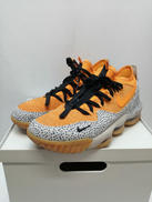 LEBRON XVI LOW AC|NIKE