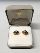 K18PT900コンビイヤリング|N.B