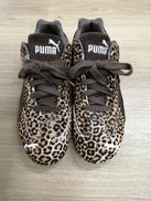 SPEEDCAT WILD WNS|PUMA