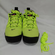 SUPREME SB DARWIN LOW|NIKE