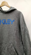 B1B PO HOODIE 2.0|OAKLEY