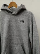 TNF LOGO HOODIE|THE NORTH FACE