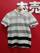 SSボーダーポロシャツ|LACOSTE