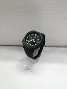 PROTREK|CASIO