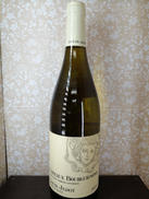 コトー・ブルギニョン2019 白|Louis Jadot