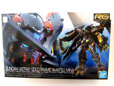 RG ガンダムアストレイ ゴールドフレーム天ミナ