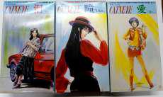 【3点セット】1/6 来生泪/来生瞳/来生愛|ツクダホビー