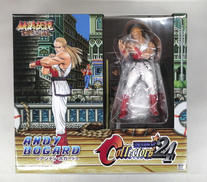 餓狼伝説SPECIAL|STUDIO24