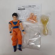 S.H.FIGUARTS ドラゴンボール|BANDAI
