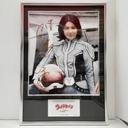 ウルトラヒロインメモリアル ウルトラセブン|BANDAI