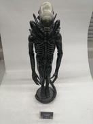 エイリアン|マーミット