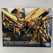 RG 1/144