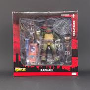 TURTLES|DREAMSCOMETRUE