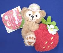 ダッフィー|DISNEY