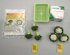 プチサンプル|Re-MeNT