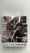 S.H.FIGUARTS|BANDAI