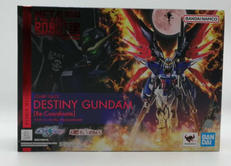 機動戦士ガンダムSEED DESTINY|BANDAI