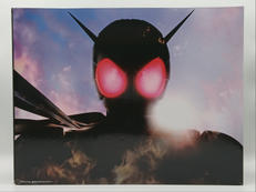 仮面ライダーW|BANDAI