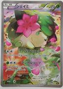 ポケモンカード|ポケモン