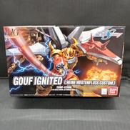 機動戦士ガンダムSEED DESTINY|BANDAI