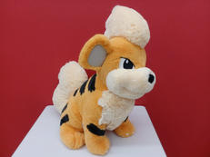 ポケモン|ポケモン