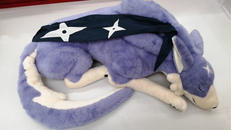 モンスターハンター|カプコン