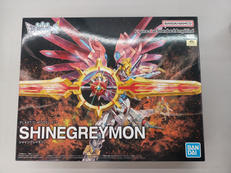 FIGURE-RISESTANDARDAMPLIFIED|BANDAI
