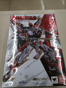 ガンダムSEED　VS　ASTRAY|BANDAI