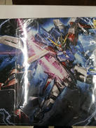 MG 1/100ガンプラ|BANDAI