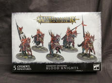 WARHAMMER AGE OF SIGMAR|CITADEL MINIATURES