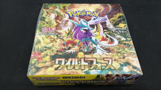 ポケモンカードゲーム|ポケモン