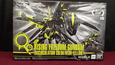 HG ライジングフリーダムガンダム