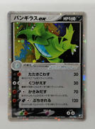 ポケモンカードゲーム|株式会社ポケモン