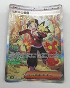 ポケモンカードゲーム|株式会社ポケモン