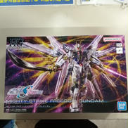 HG 1/144
