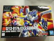 HG 1/144