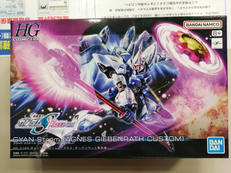 HG1/144