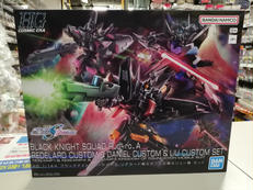 HG 1/144