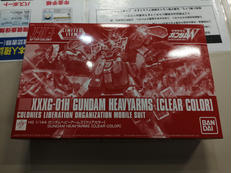 HG 1/144