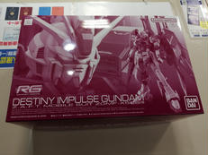RG 1/144