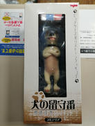 犬の留守番|YUJIN