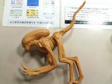 エイリアン|選択不可