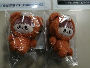 呪術廻戦-渋谷事変- セガラッキーくじオンライン|セガ