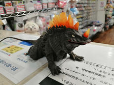 大怪獣シリーズ