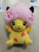 ポケモンセンターぬいぐるみ|ポケモン