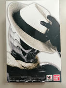 S.H.FIGUARTS 仮面ライダーW|BANDAI