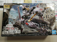 HG1/144|BANDAI