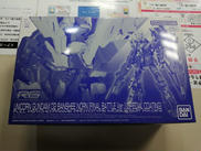 RG 1/144|BANDAI