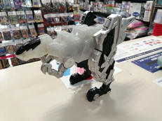 DXファングメモリ|BANDAI